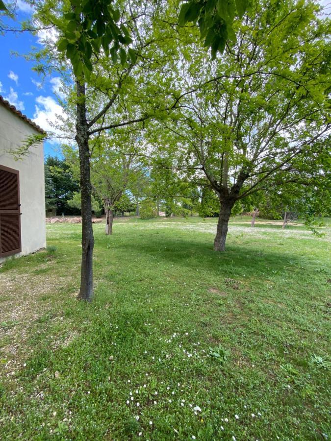 Villa Raffinee, Parc Cloture, 4000M2, Piscine 5X10 Blauzac (Gard) Exterior photo